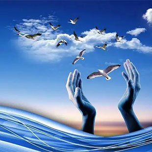 Visual communication & Signage